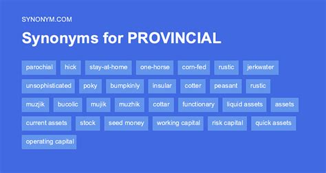 synonyms of provincial